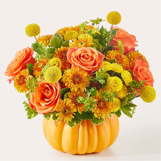 Gourdgeous Pumpkin –  Bird Of Paradise Flowers, Bristol PA