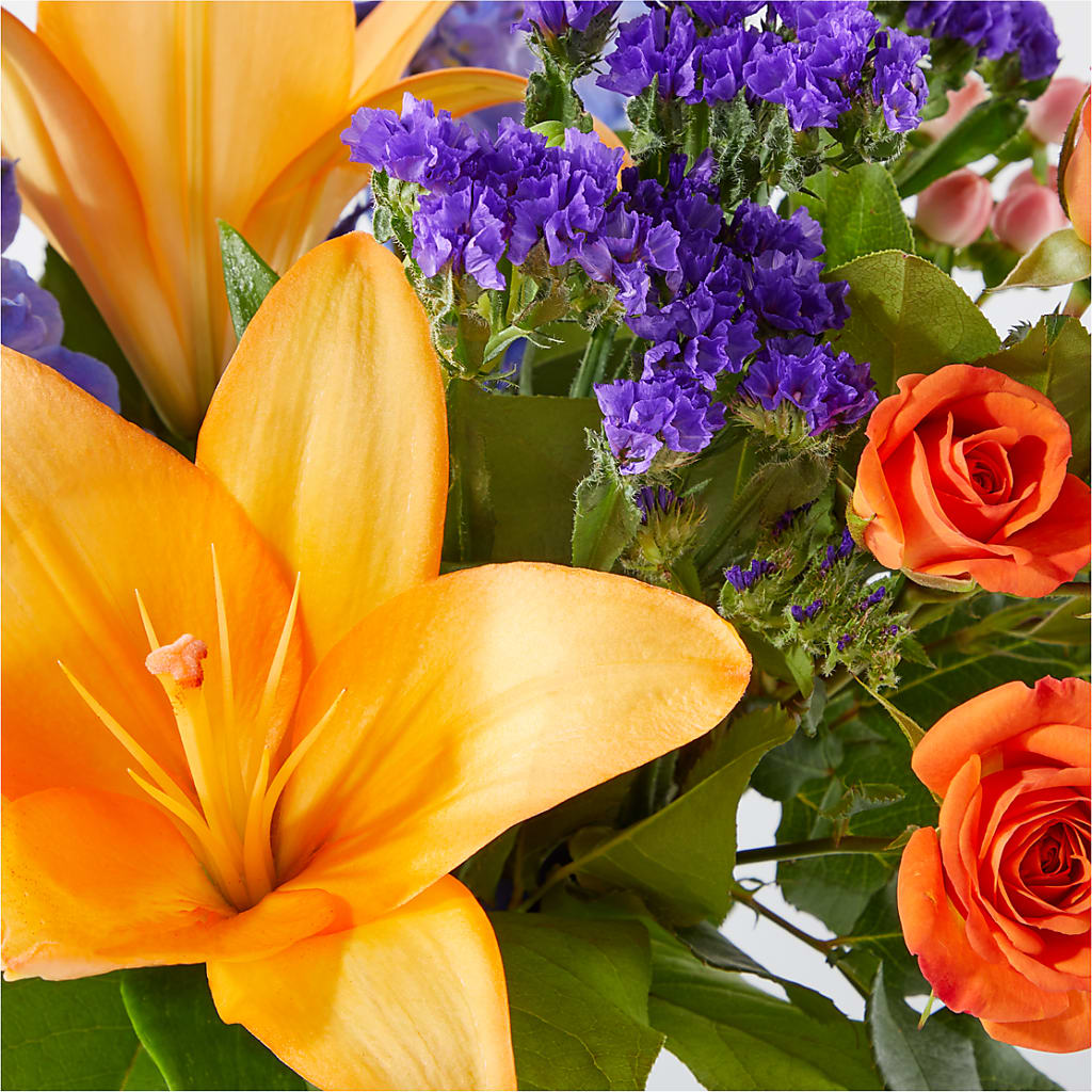 Radiant Citrus Bouquet –  Bird Of Paradise Flowers, Bristol PA