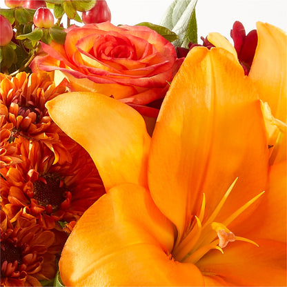 Backyard Bonfire Bouquet –  Bird Of Paradise Flowers, Bristol PA