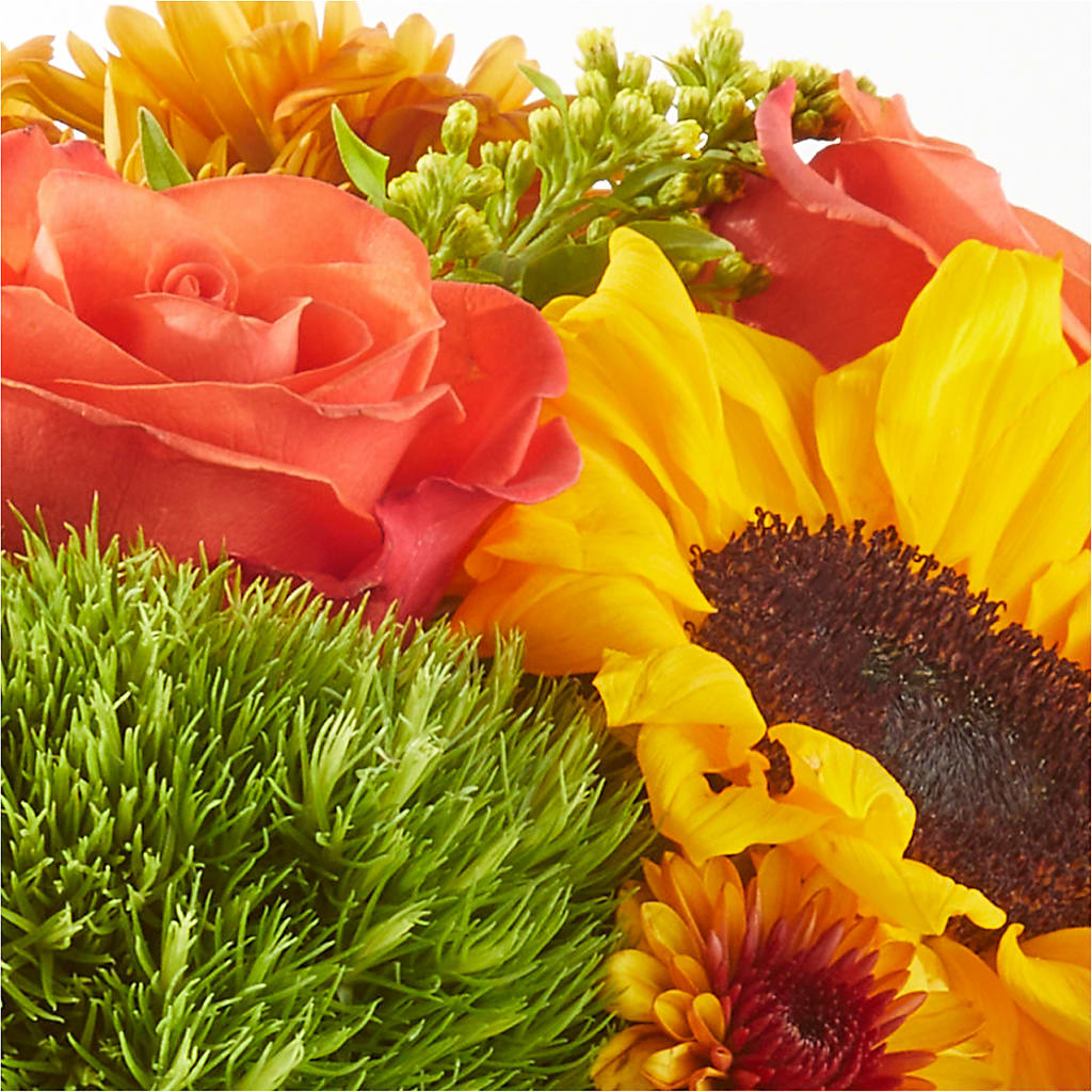 Farmer’s Market Stroll Bouquet –  Bird Of Paradise Flowers, Bristol PA