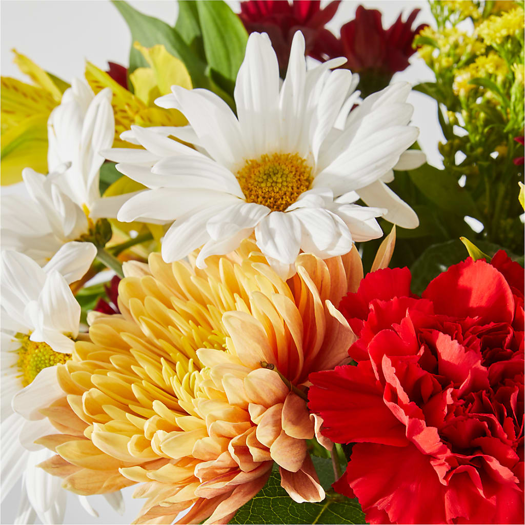 Fall Delight – A Florist Original –  Bird Of Paradise Flowers, Bristol PA