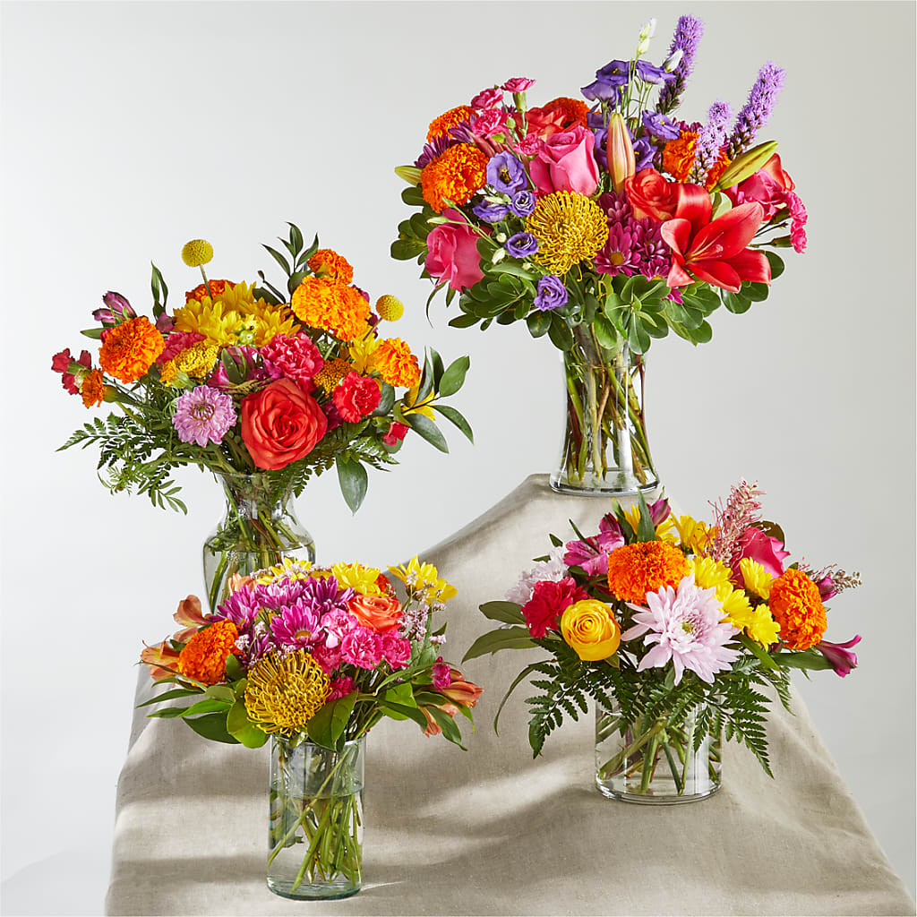 Feast of Color – A Florist Original –  Bird Of Paradise Flowers, Bristol PA