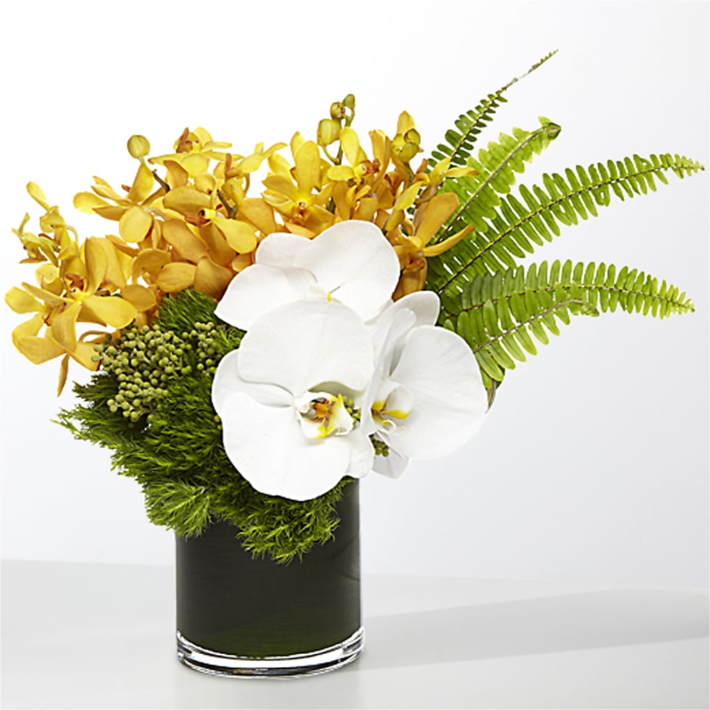 The Tropics –  Bird Of Paradise Flowers, Bristol PA