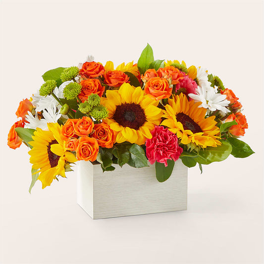 Sun-drenched Blooms Box Bouquet –  Bird Of Paradise Flowers, Bristol PA