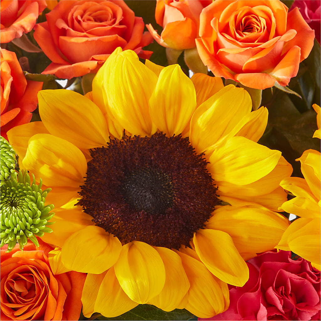Sun-drenched Blooms Box Bouquet –  Bird Of Paradise Flowers, Bristol PA