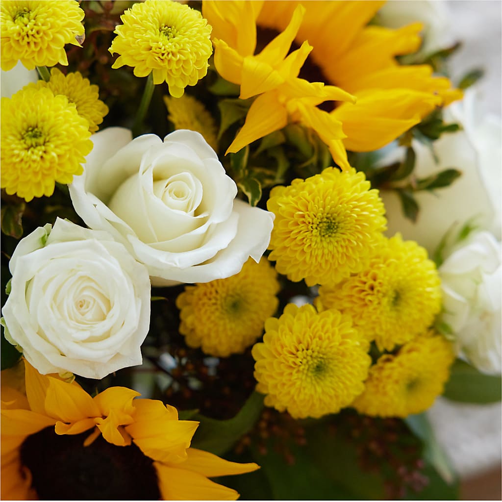 Luminous Morning Bouquet –  Bird Of Paradise Flowers, Bristol PA