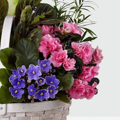 Peaceful Garden Planter –  Bird Of Paradise Flowers, Bristol PA