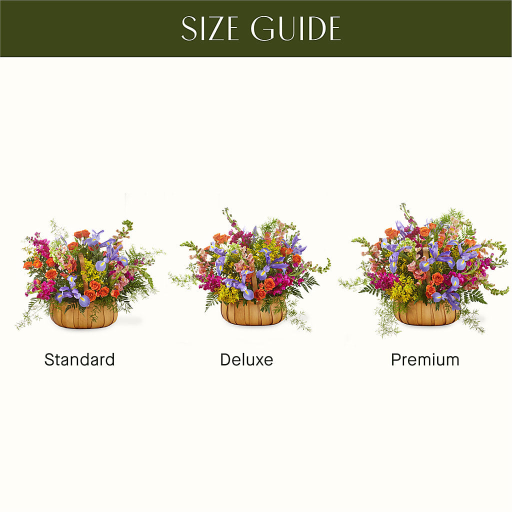 Garden of Life Basket –  Bird Of Paradise Flowers, Bristol PA