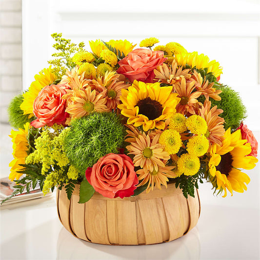 Harvest Sunflower Basket –  Bird Of Paradise Flowers, Bristol PA
