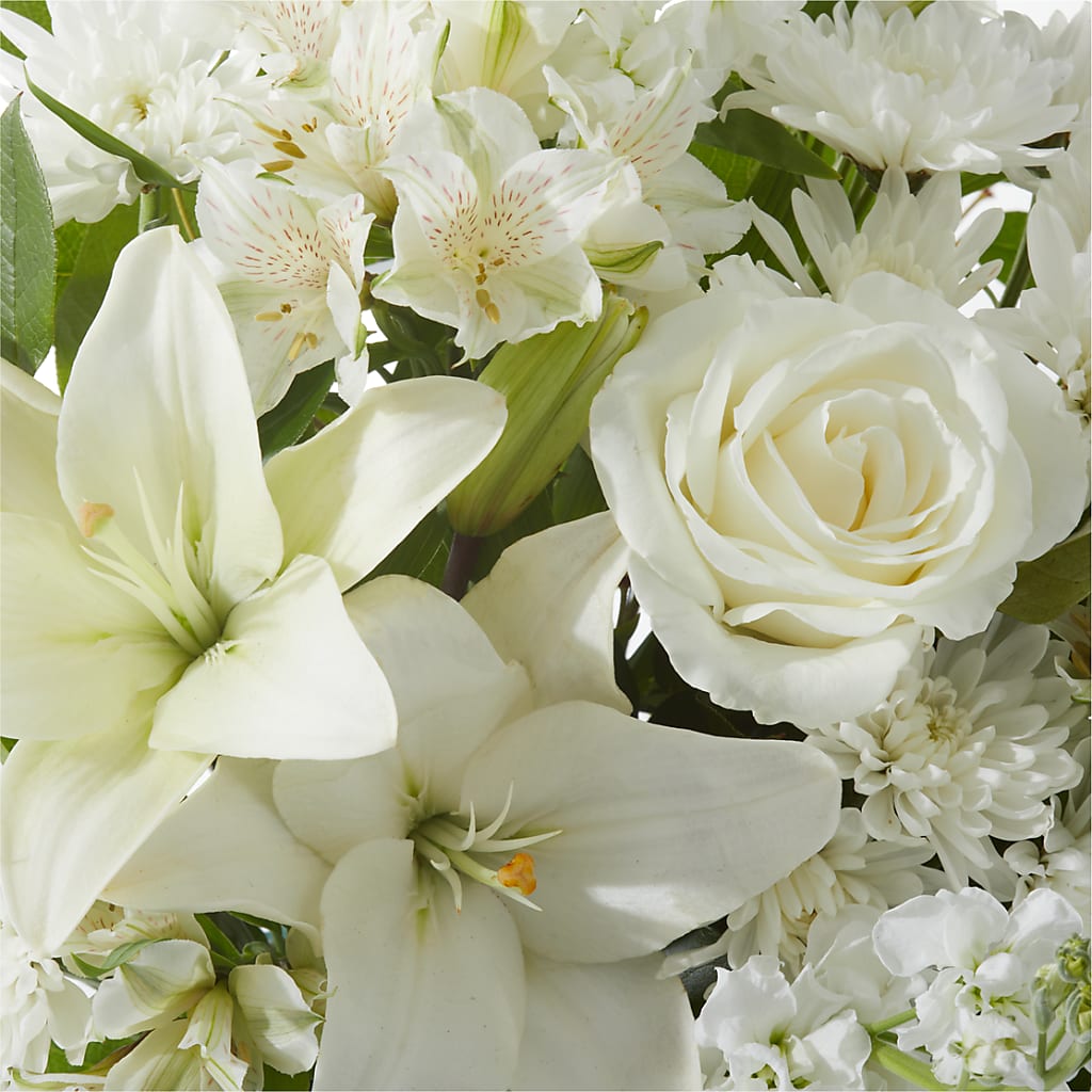 Peaceful Reflections Arrangement –  Bird Of Paradise Flowers, Bristol PA