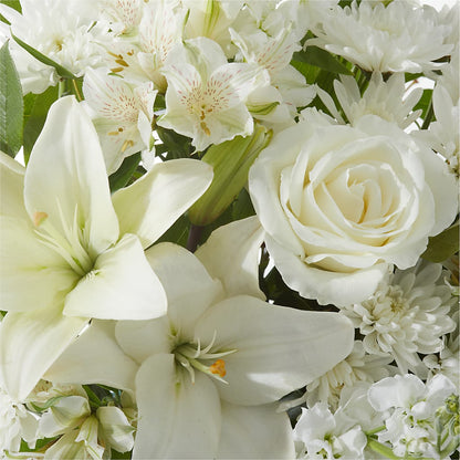 Peaceful Reflections Arrangement –  Bird Of Paradise Flowers, Bristol PA