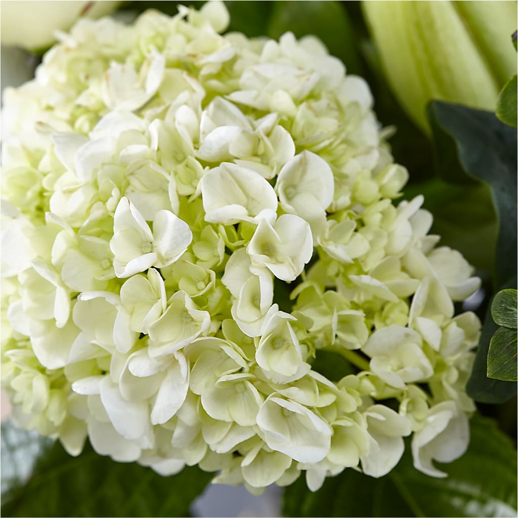 Classic Ivory – A Florist Original –  Bird Of Paradise Flowers, Bristol PA