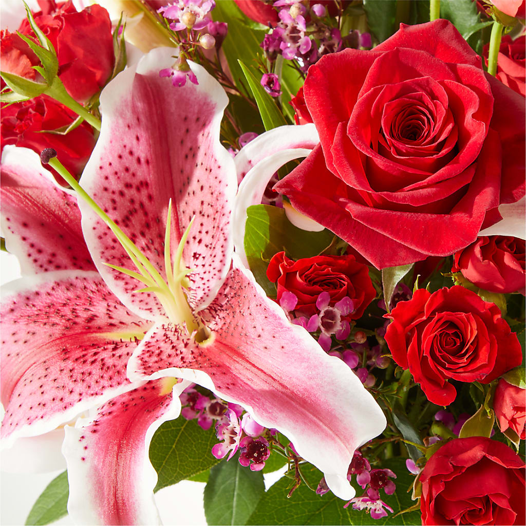 Match Made in Heaven Bouquet –  Bird Of Paradise Flowers, Bristol PA