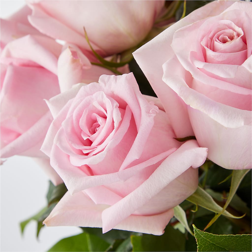 Picture Perfect Pink Rose Bouquet –  Bird Of Paradise Flowers, Bristol PA