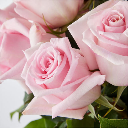 Picture Perfect Pink Rose Bouquet –  Bird Of Paradise Flowers, Bristol PA