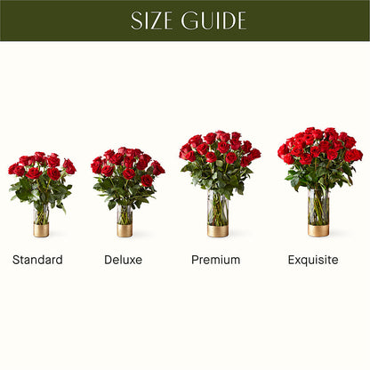 Classic Love Red Rose Bouquet –  Bird Of Paradise Flowers, Bristol PA