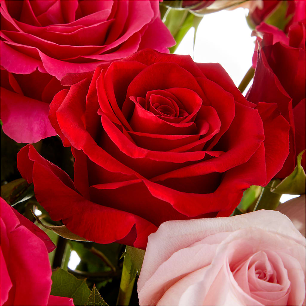 Love Notes Rose Bouquet –  Bird Of Paradise Flowers, Bristol PA