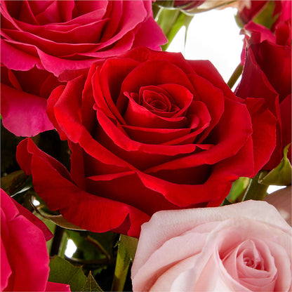 Love Notes Rose Bouquet –  Bird Of Paradise Flowers, Bristol PA