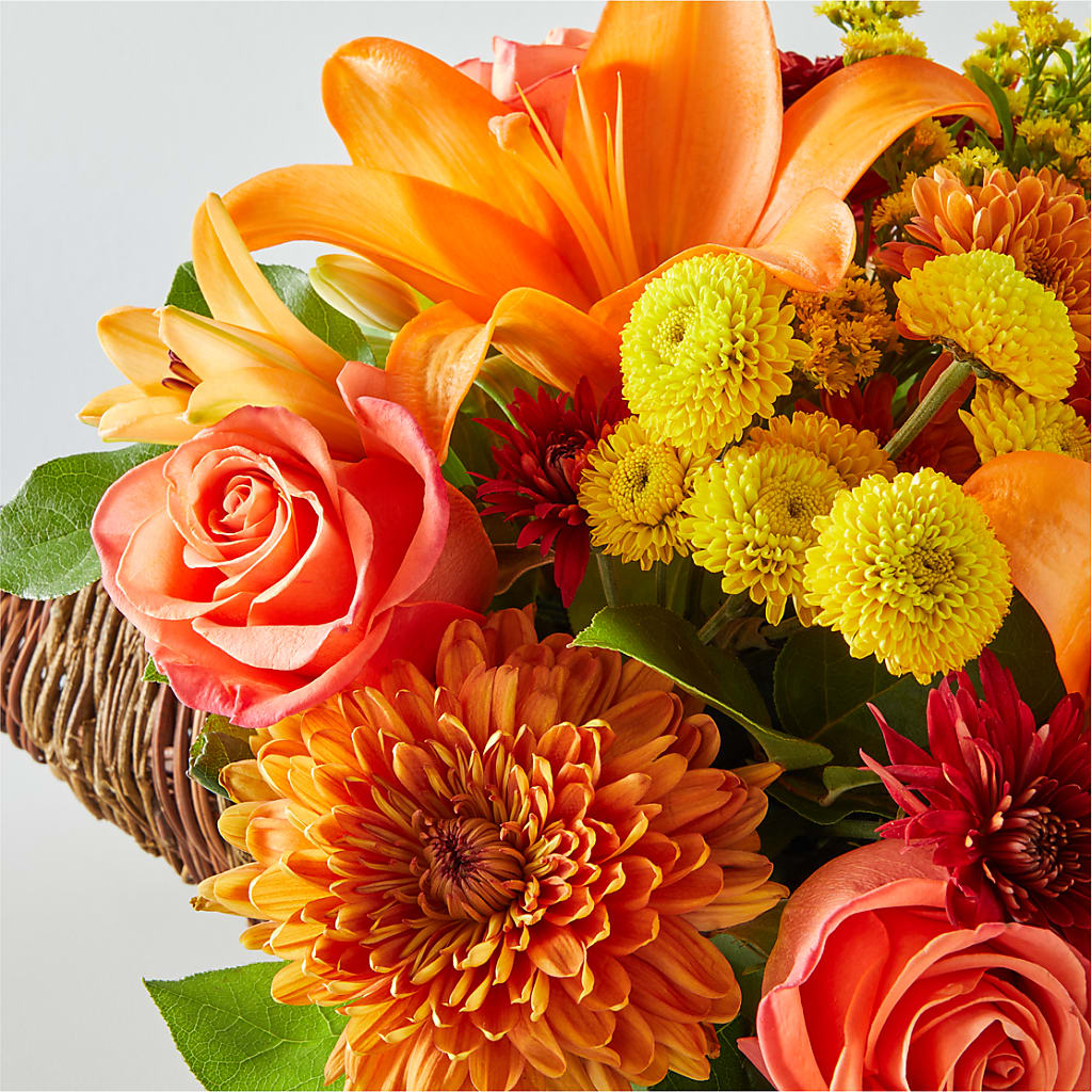 Bouquet of Blessings Cornucopia –  Bird Of Paradise Flowers, Bristol PA