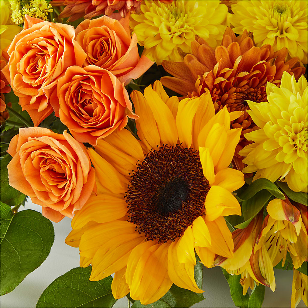 Autumn Harmony Centerpiece –  Bird Of Paradise Flowers, Bristol PA