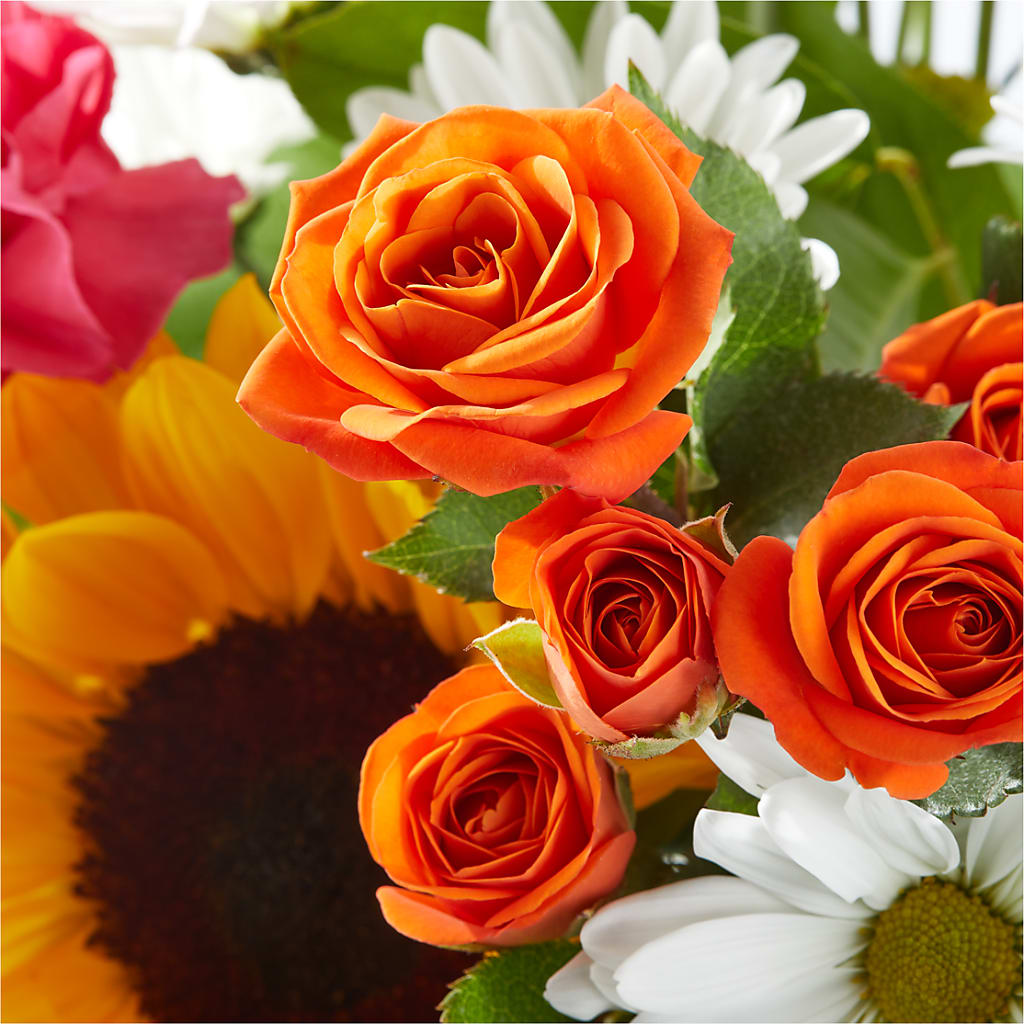 Sun-drenched Blooms Bouquet –  Bird Of Paradise Flowers, Bristol PA