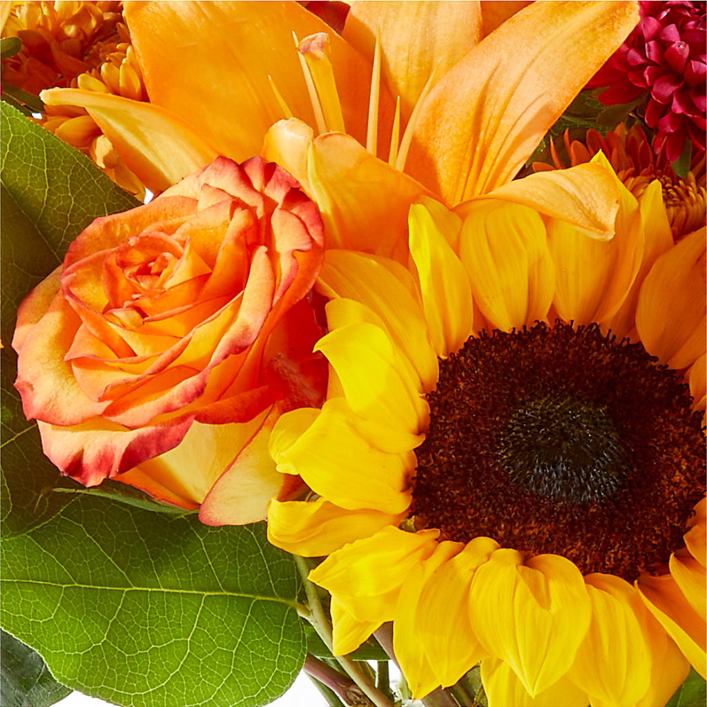 Fall Day Bouquet –  Bird Of Paradise Flowers, Bristol PA