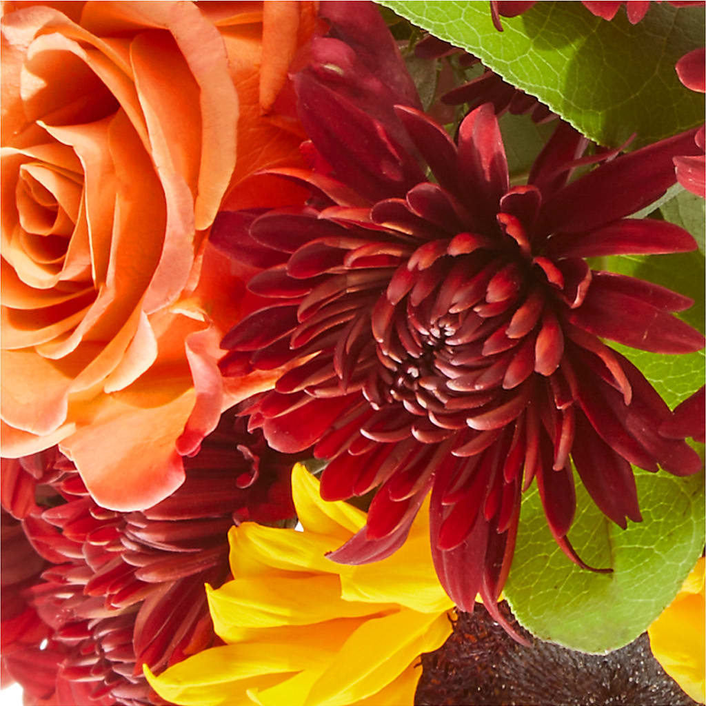 September Sunset Bouquet –  Bird Of Paradise Flowers, Bristol PA