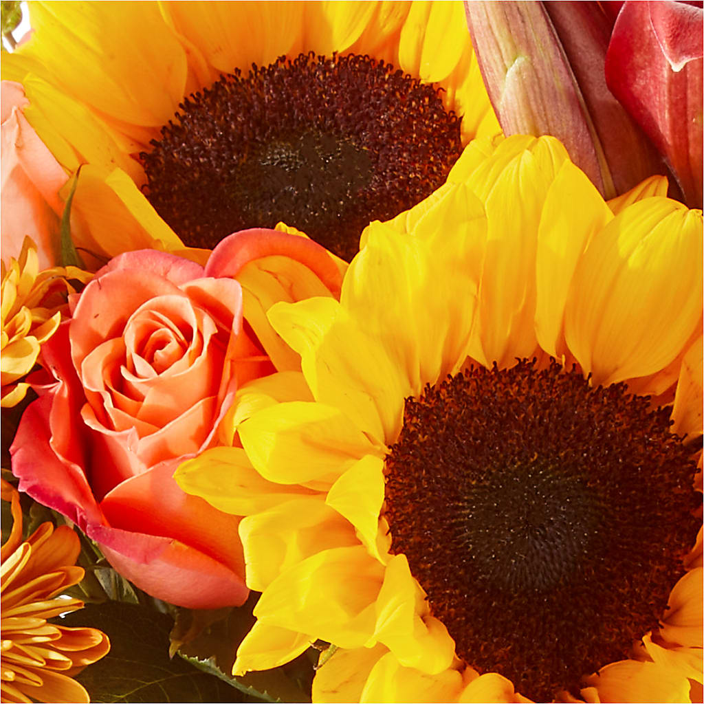 Acorn Lane Bouquet –  Bird Of Paradise Flowers, Bristol PA
