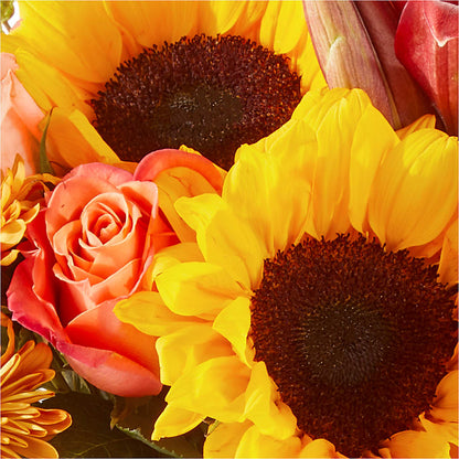 Acorn Lane Bouquet –  Bird Of Paradise Flowers, Bristol PA