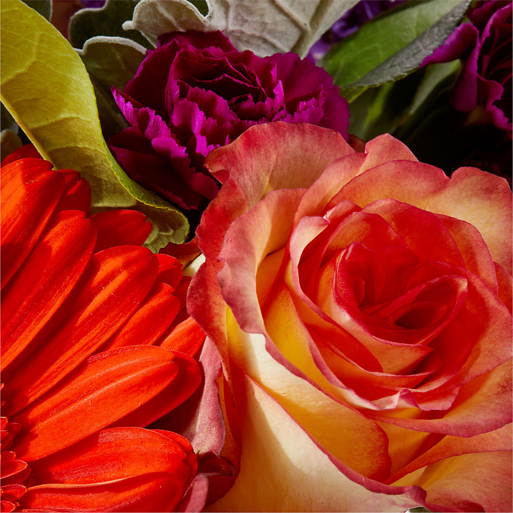 Sangria Bouquet –  Bird Of Paradise Flowers, Bristol PA