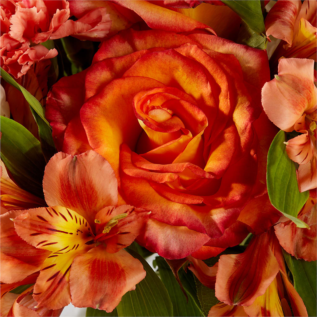 Apricot Glow Bouquet –  Bird Of Paradise Flowers, Bristol PA