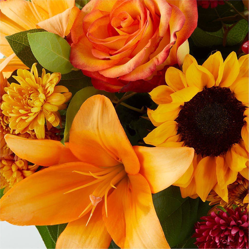 Grateful Centerpiece –  Bird Of Paradise Flowers, Bristol PA