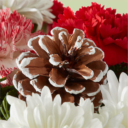 Candy Cane Lane Bouquet –  Bird Of Paradise Flowers, Bristol PA
