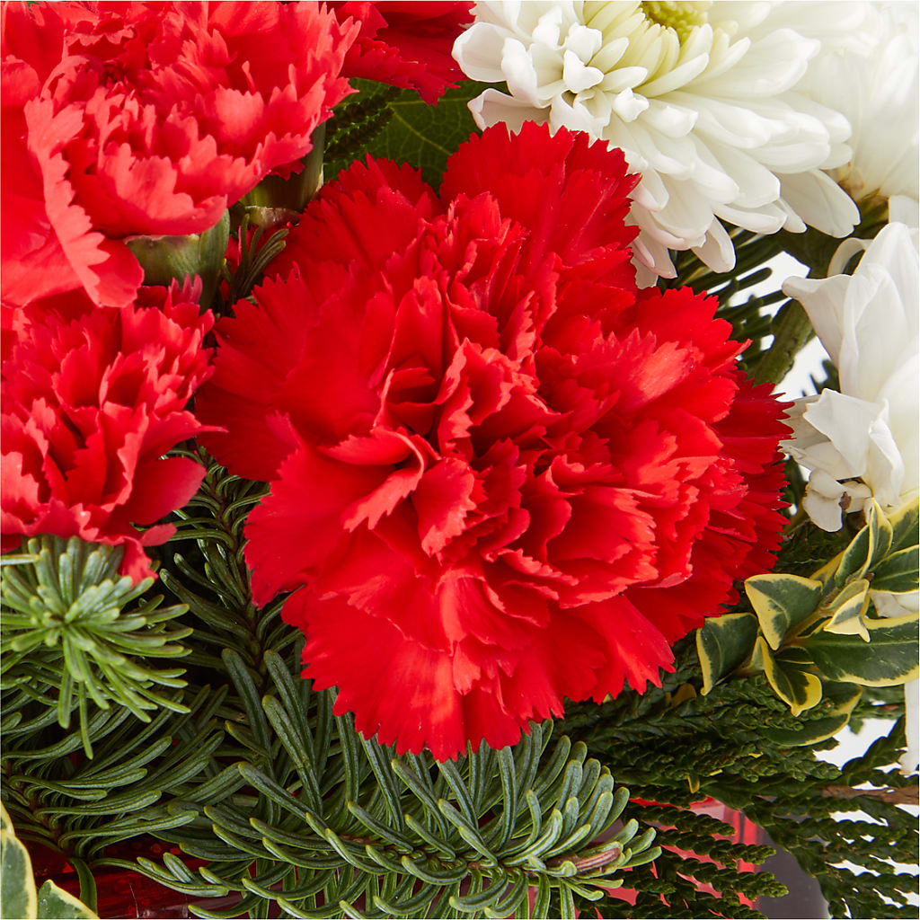 Christmas Market Bouquet –  Bird Of Paradise Flowers, Bristol PA