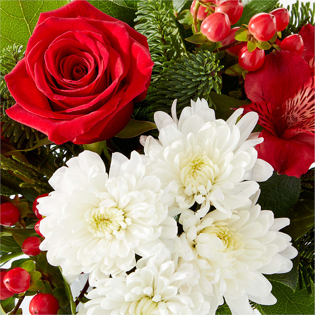 Letters to Santa Bouquet –  Bird Of Paradise Flowers, Bristol PA
