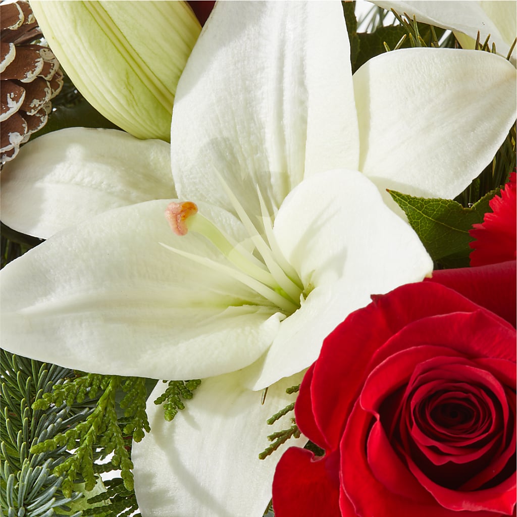 Oh So Jolly Bouquet –  Bird Of Paradise Flowers, Bristol PA
