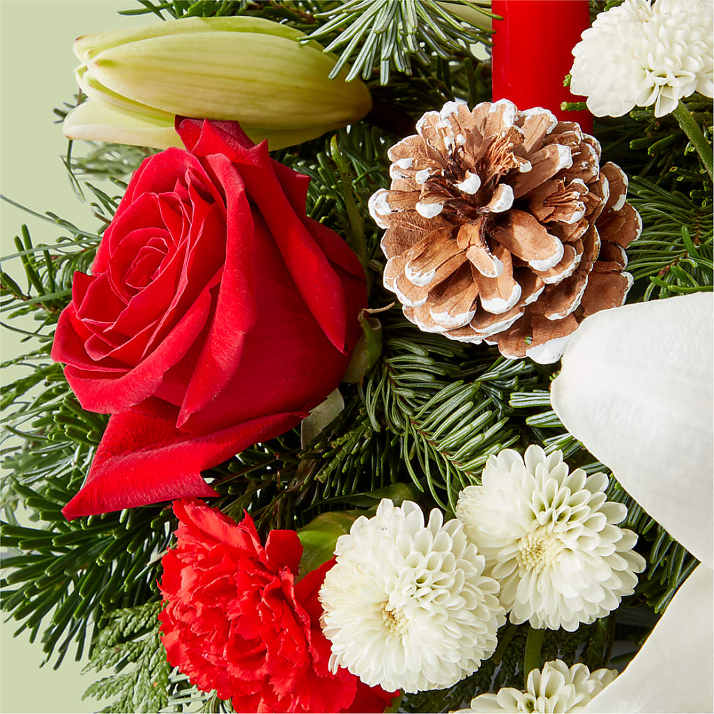 Seasonal Festivities Centerpiece –  Bird Of Paradise Flowers, Bristol PA
