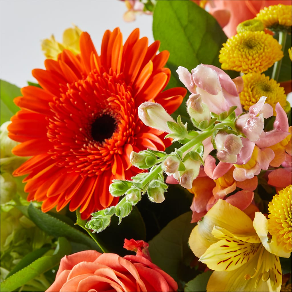 Autumn Sunshine Bouquet –  Bird Of Paradise Flowers, Bristol PA