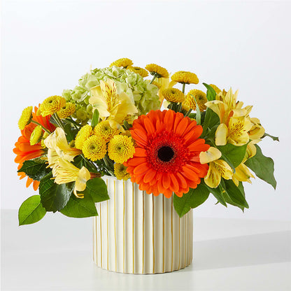 Autumn Sunshine Bouquet with Ivory Vase –  Bird Of Paradise Flowers, Bristol PA