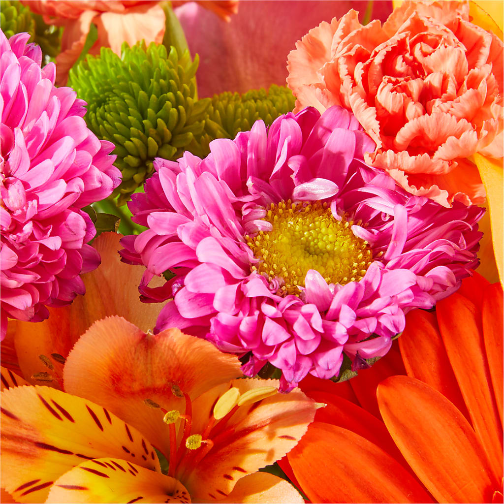 Soiree Bouquet –  Bird Of Paradise Flowers, Bristol PA