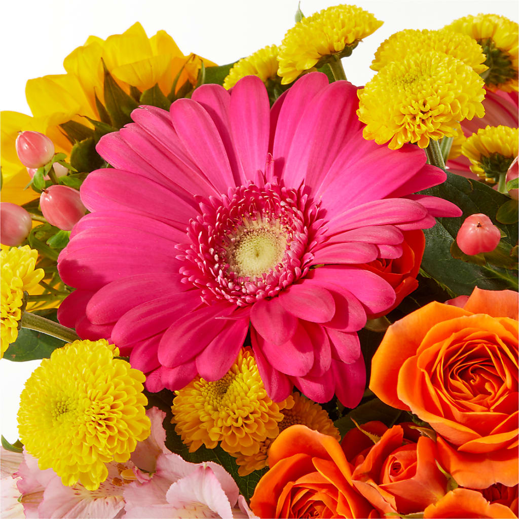 Beach Day Bouquet –  Bird Of Paradise Flowers, Bristol PA