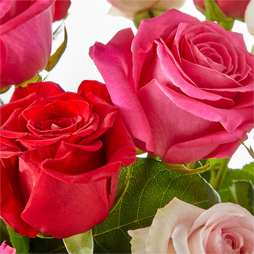 Charming Rose Bouquet –  Bird Of Paradise Flowers, Bristol PA