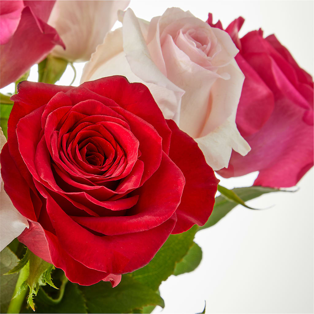 Charming Rose Bouquet –  Bird Of Paradise Flowers, Bristol PA