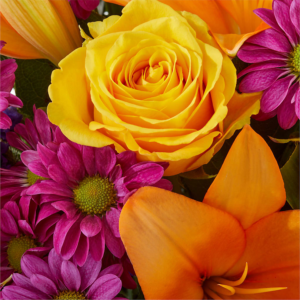 Colorful Visions Bouquet –  Bird Of Paradise Flowers, Bristol PA