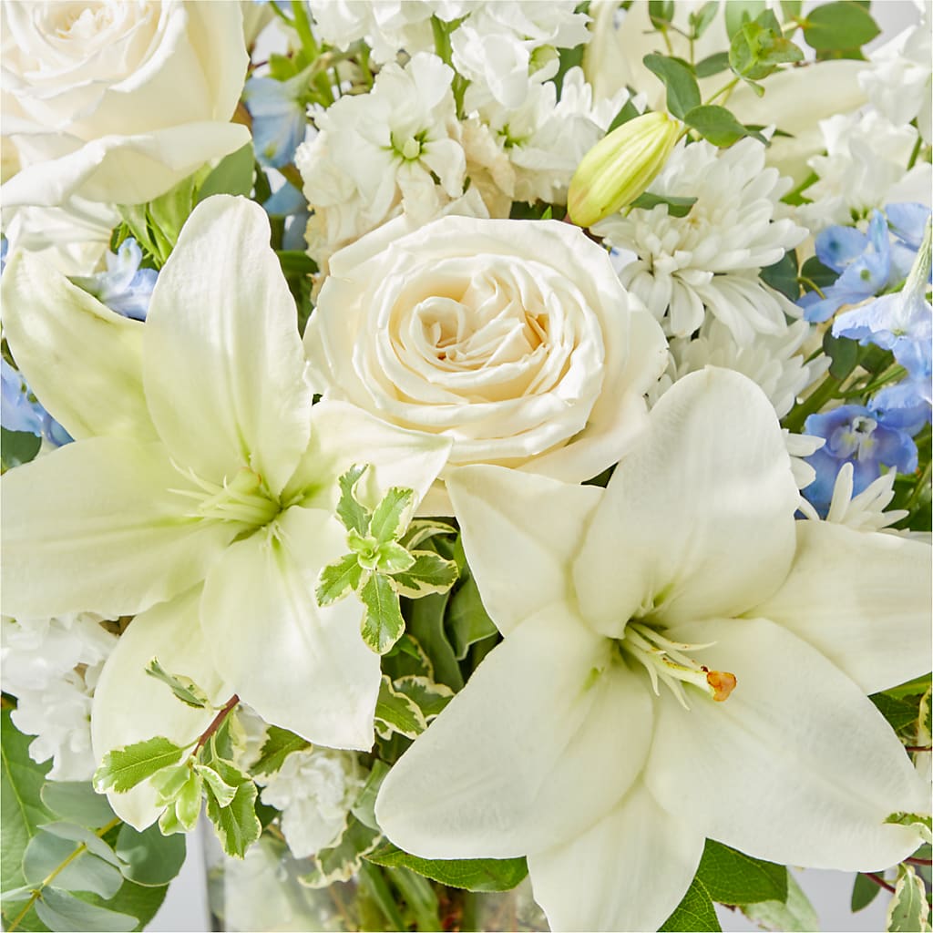 Peace of Mind Bouquet –  Bird Of Paradise Flowers, Bristol PA