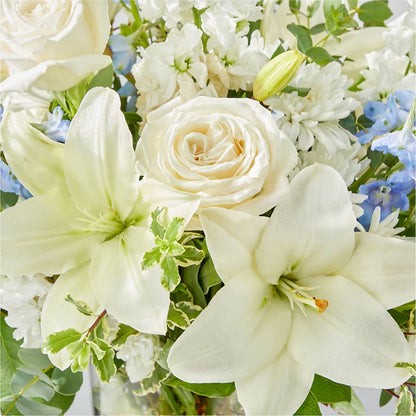 Peace of Mind Bouquet –  Bird Of Paradise Flowers, Bristol PA