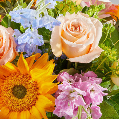 Dreamy Meadows Bouquet –  Bird Of Paradise Flowers, Bristol PA