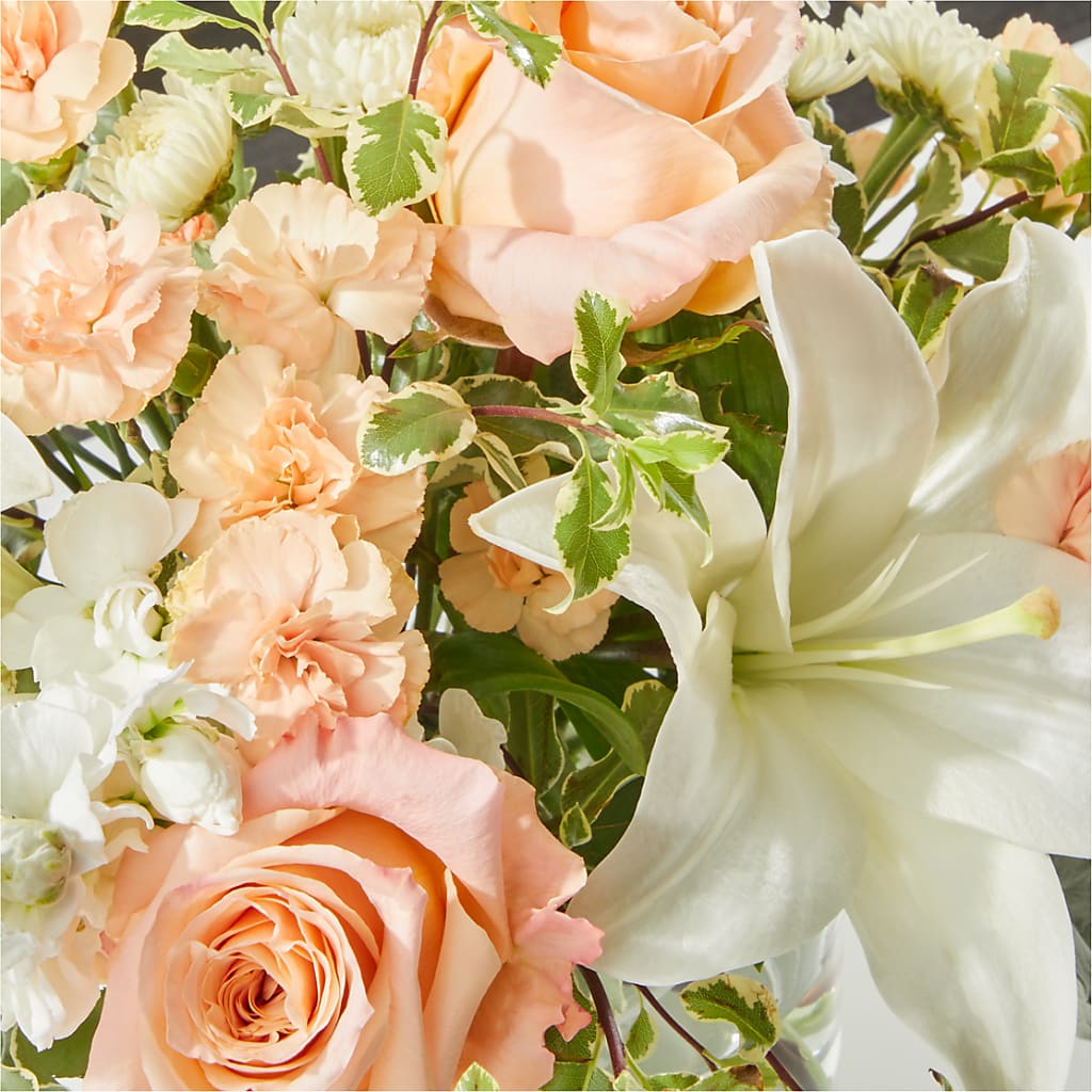 Darling Bouquet –  Bird Of Paradise Flowers, Bristol PA