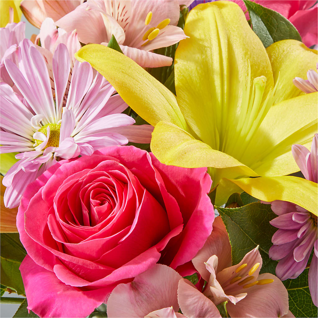 Sprinkles Bouquet –  Bird Of Paradise Flowers, Bristol PA