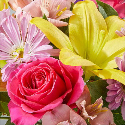Sprinkles Bouquet –  Bird Of Paradise Flowers, Bristol PA